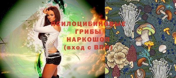 ПСИЛОЦИБИНОВЫЕ ГРИБЫ Абинск