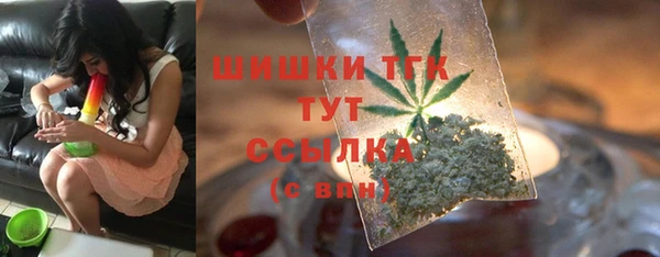 хмурый Няндома