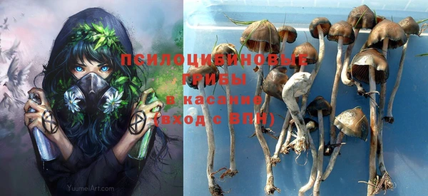 ПСИЛОЦИБИНОВЫЕ ГРИБЫ Абинск