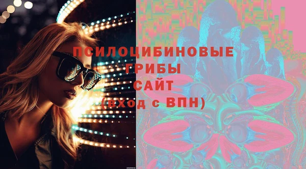 ПСИЛОЦИБИНОВЫЕ ГРИБЫ Абинск