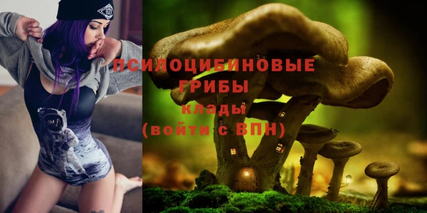 ПСИЛОЦИБИНОВЫЕ ГРИБЫ Абинск