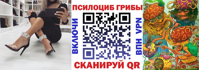 наркота Усть-Кут Псилоцибиновые грибы мицелий